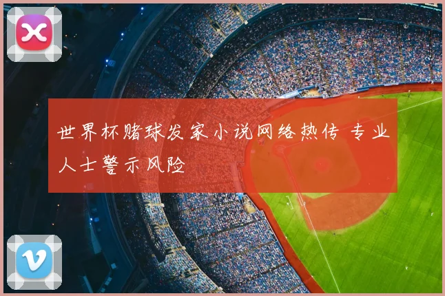 世界杯赌球发家小说网络热传 专业人士警示风险