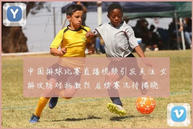 中国排球比赛直播视频引发关注 女排攻防对抗激烈 后续赛况待揭晓