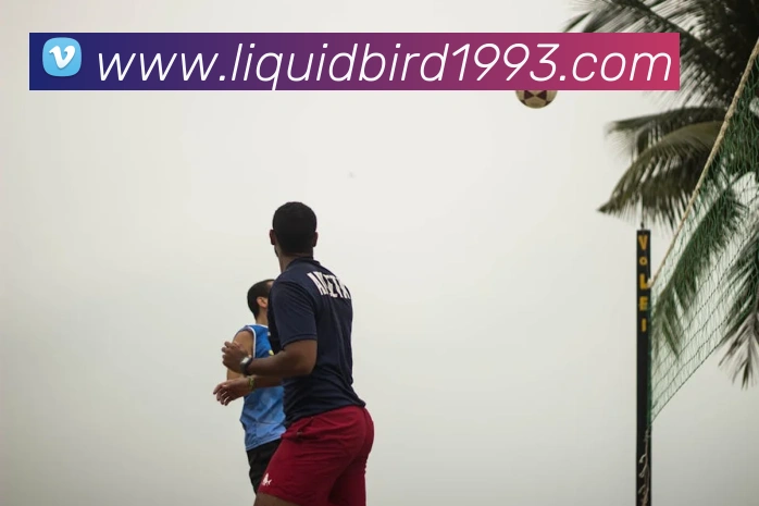 乐动注册平台生态图